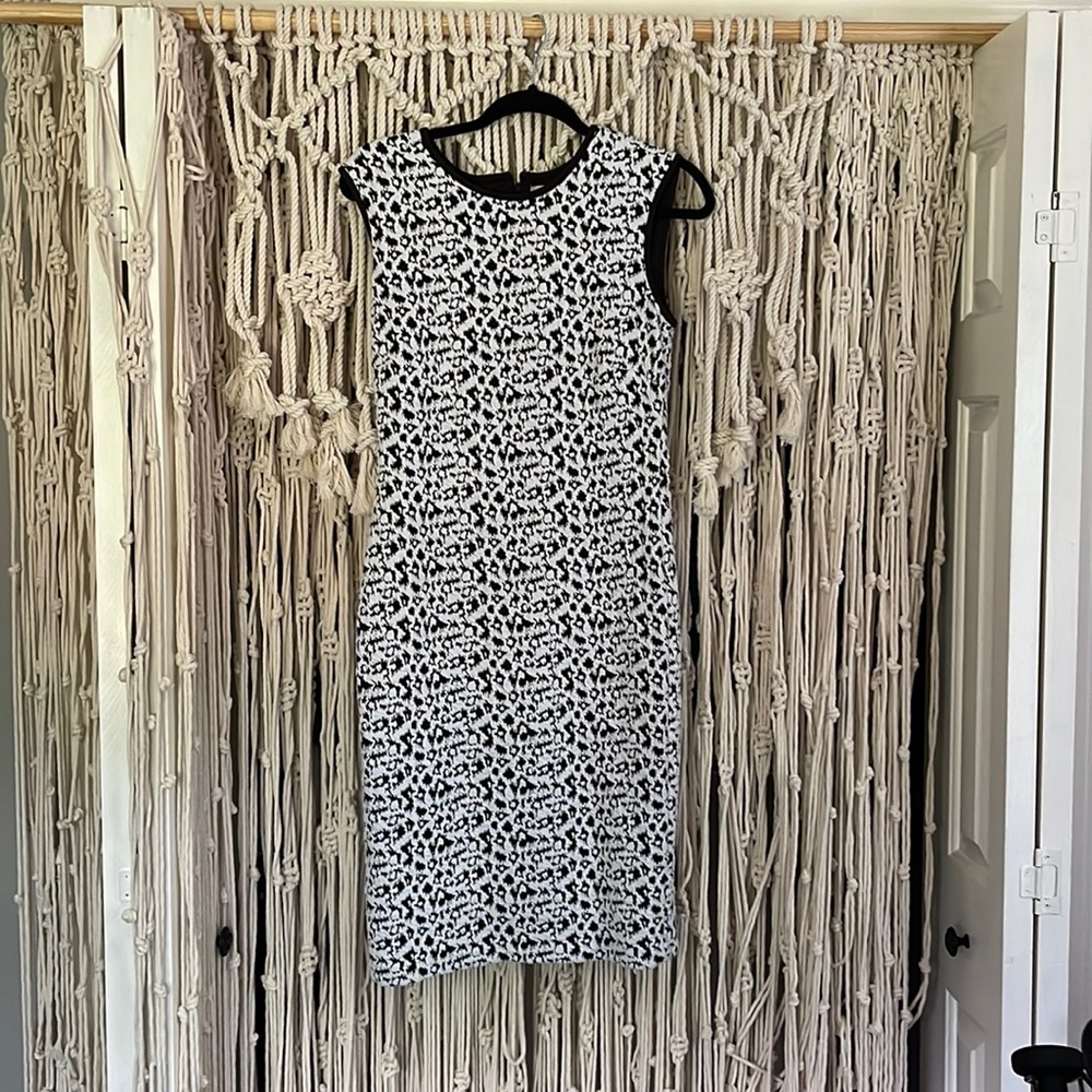 Philosophy Black and White Dress High Neck